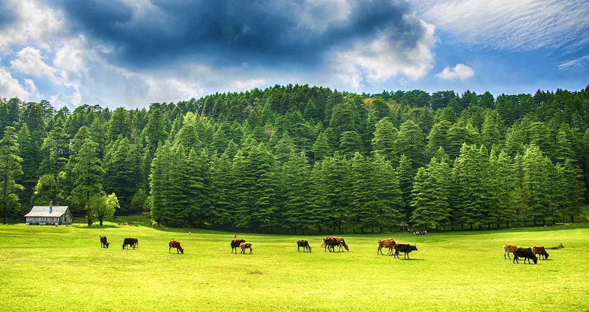 Dalhousie Dharamshala