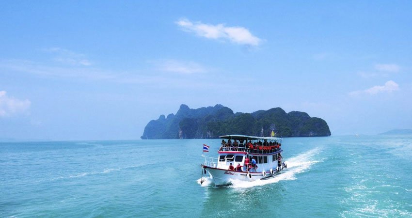 Bat Island Tour in Goa