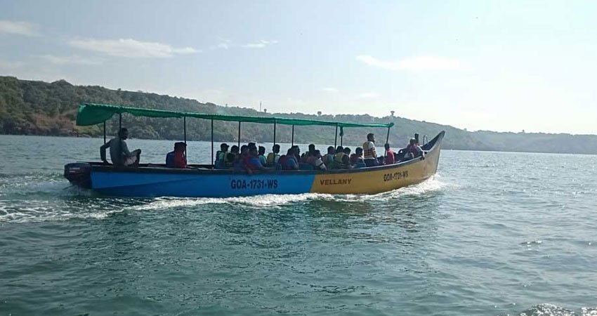 Bat Island Tour in Goa   
