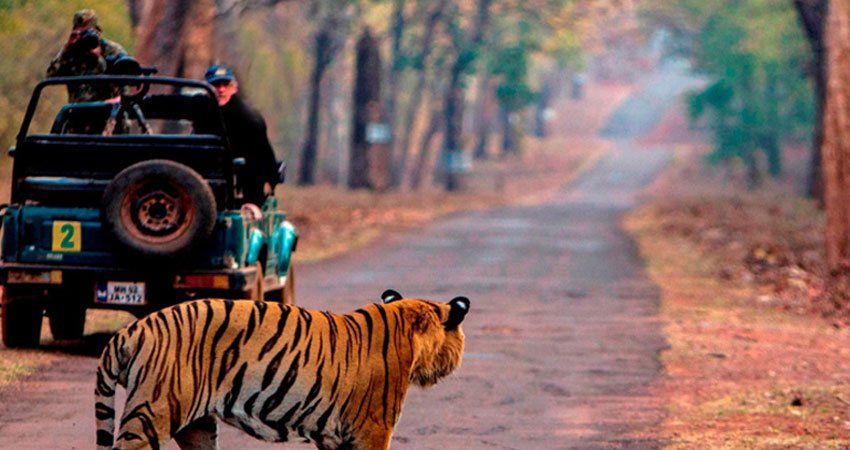 Corbett Weekend Package