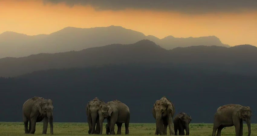 Corbett Weekend Package